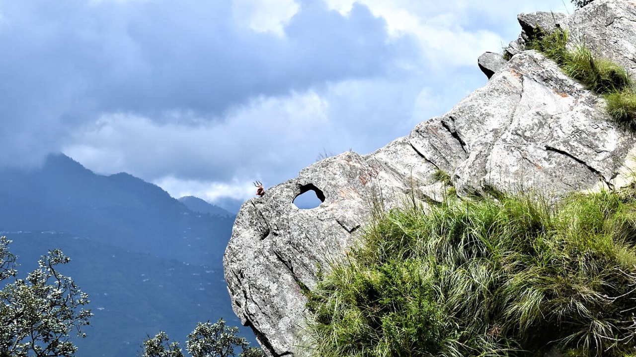 Photo of Outdoor in Satbunga