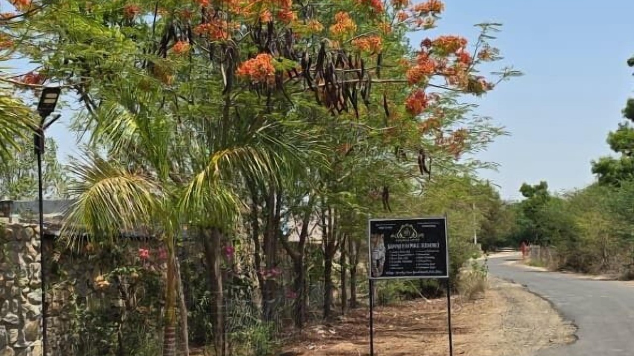 Photo of Outdoor in Bali