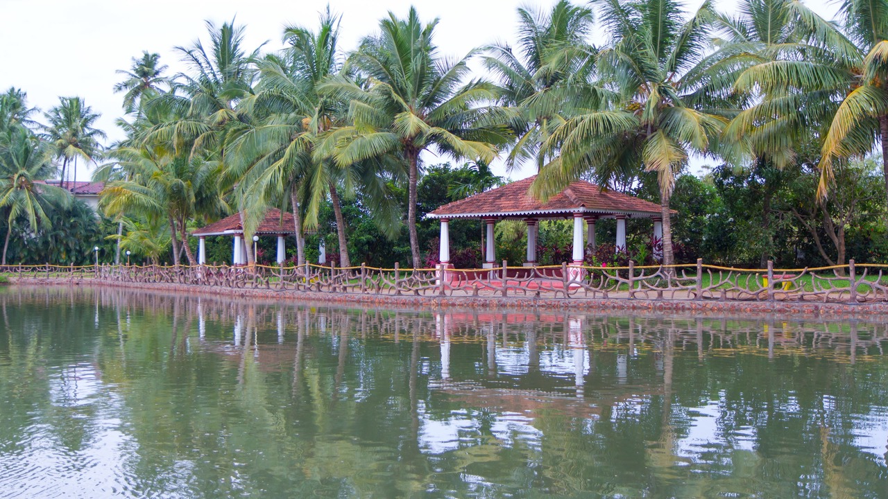 Photo of Outdoor in Arpora