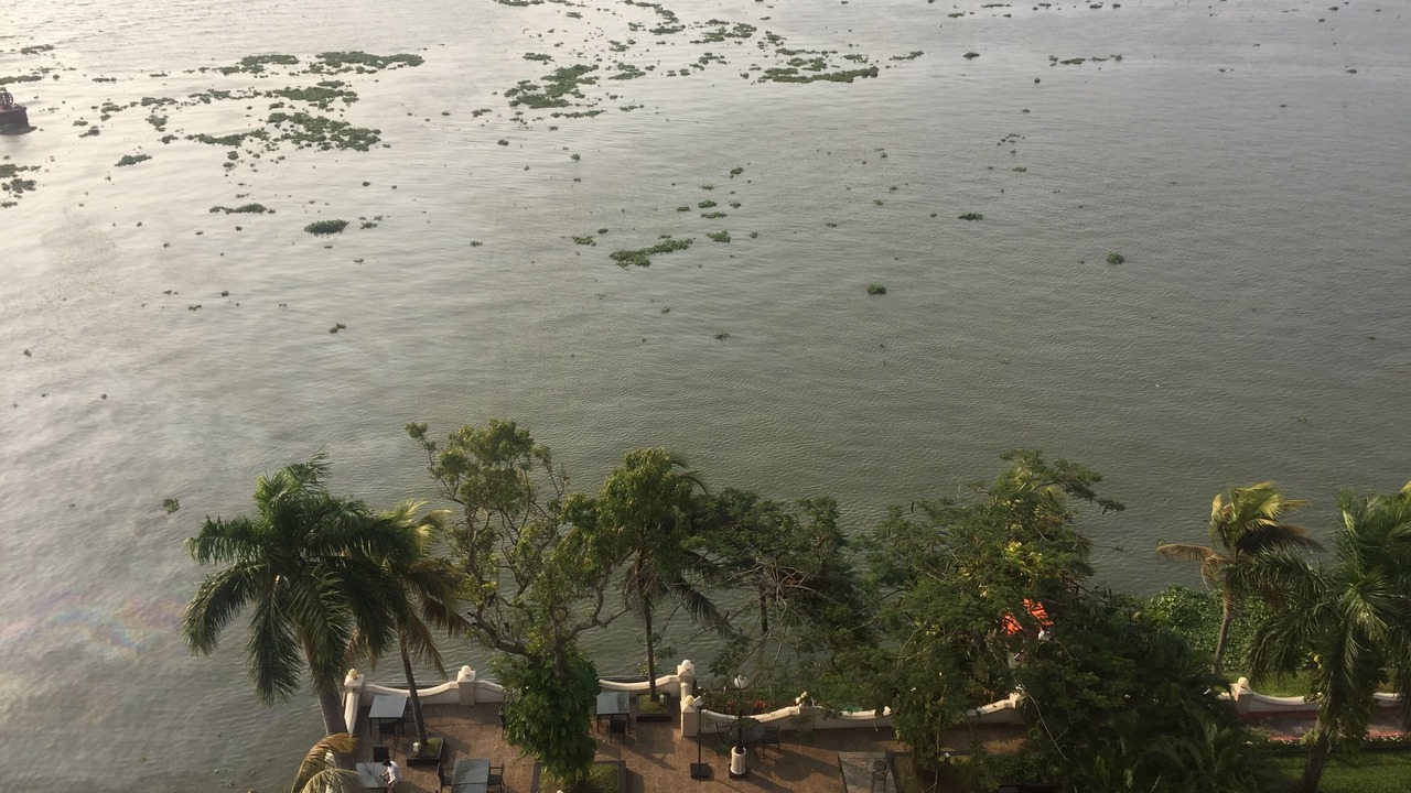 Photo of Patio Balcony in Kochi