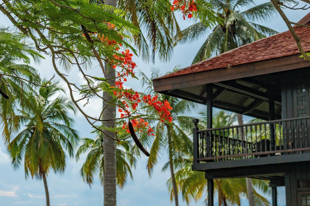 Photo of Outdoor in Lubok Buaya