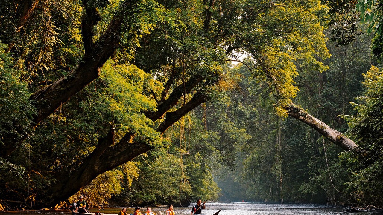 Photo of Outdoor in Kuala Tahan