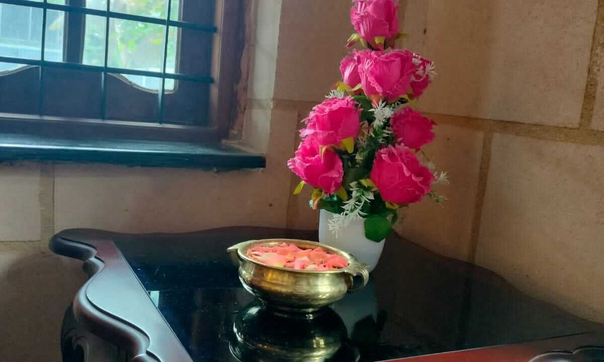 Photo of Others in Ottapalam