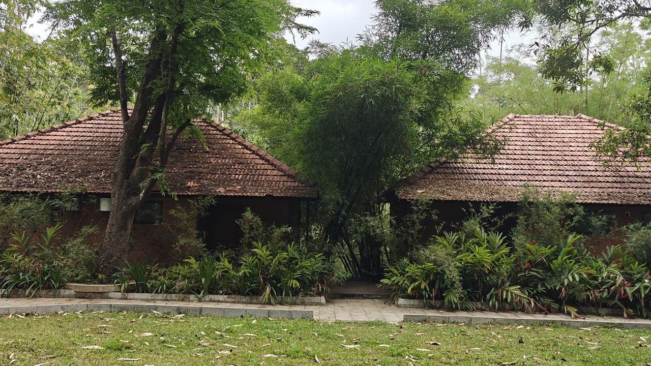 Photo of Outdoor in Sulthan Bathery