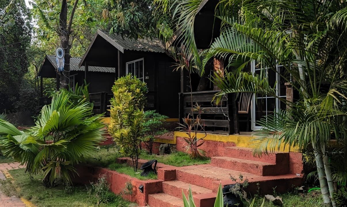 Photo of Outdoor in Arambol