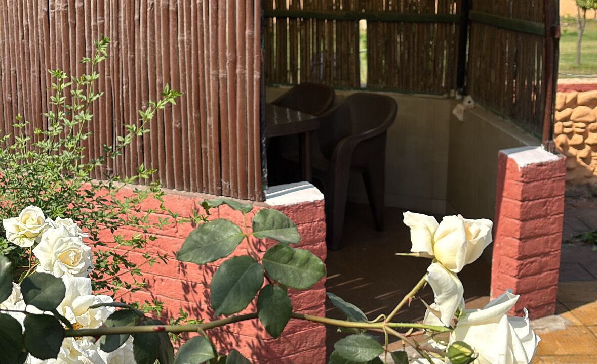 Photo of Outdoor in Thanesar