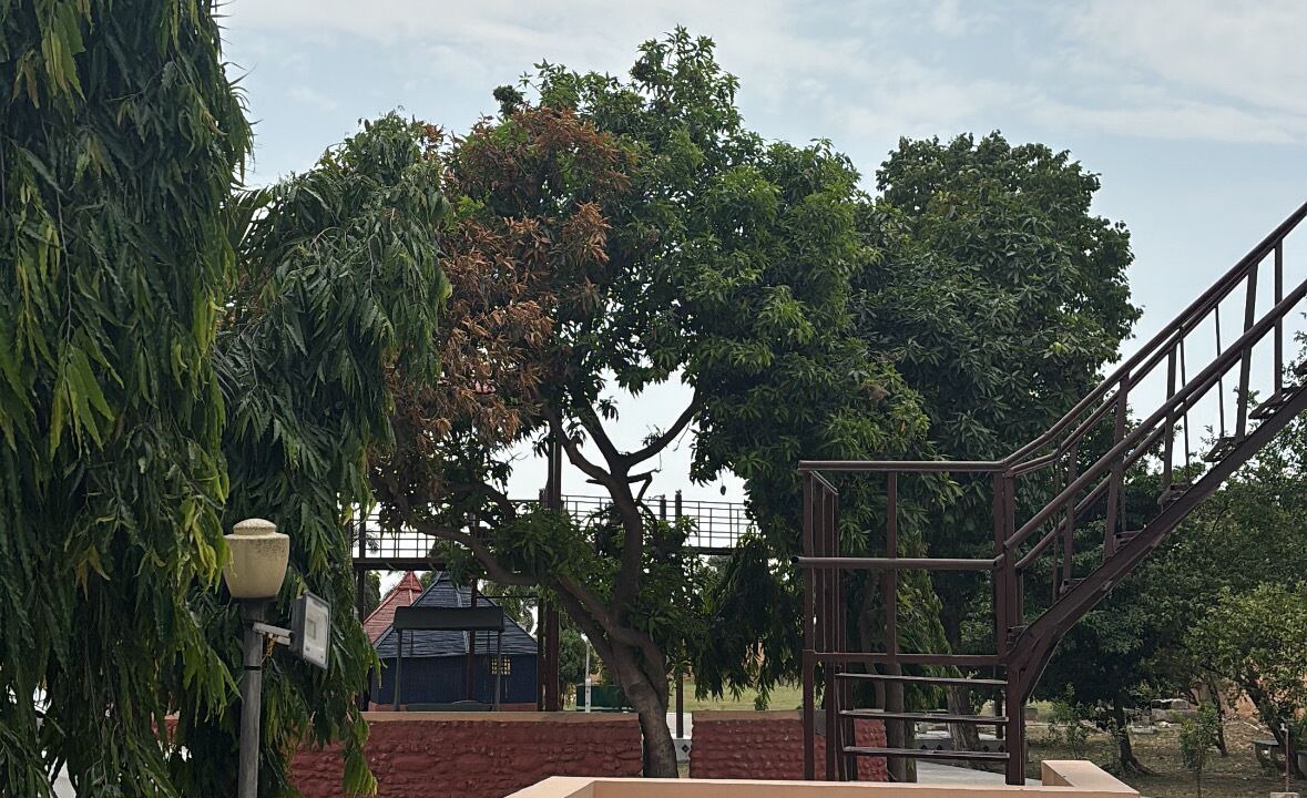 Photo of Outdoor in Thanesar