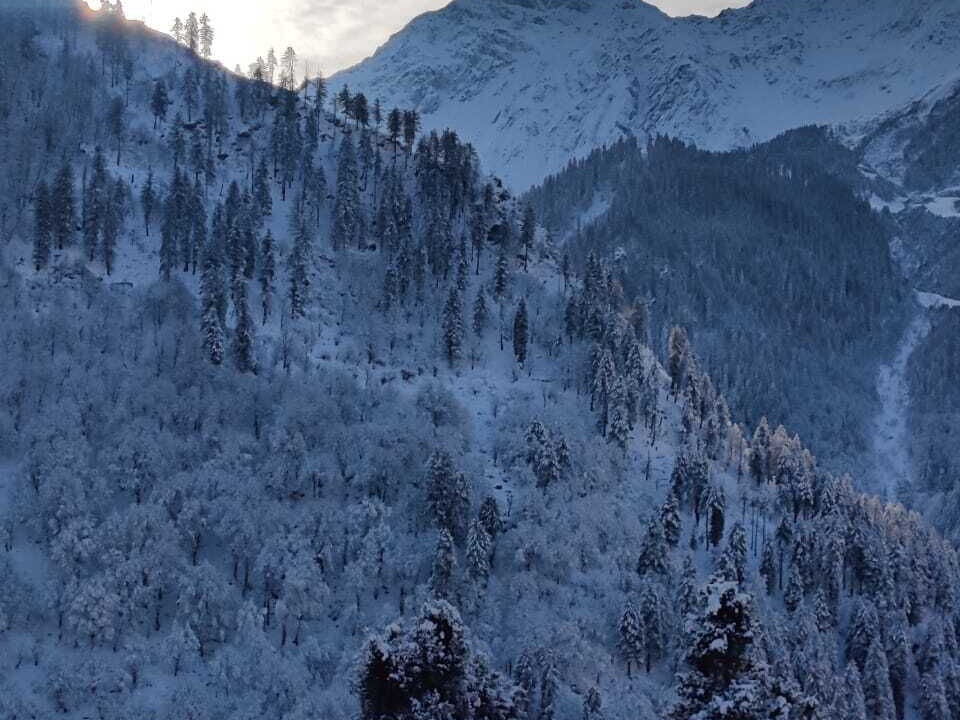 Photo of Outdoor in Tosh