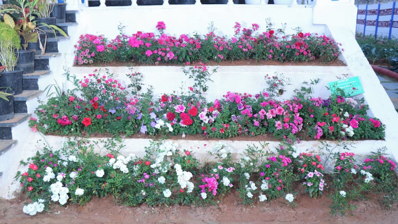 Photo of Outdoor in Sambalpur