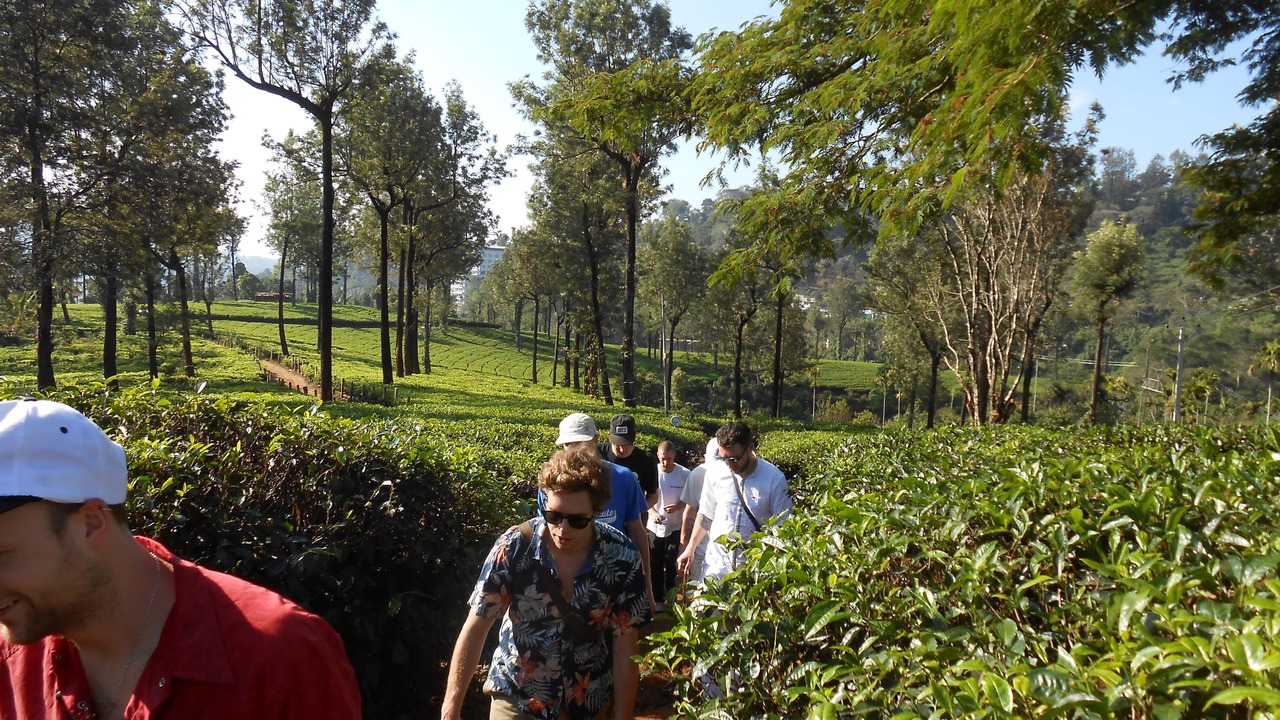 Photo of Outdoor in Chithirapuram