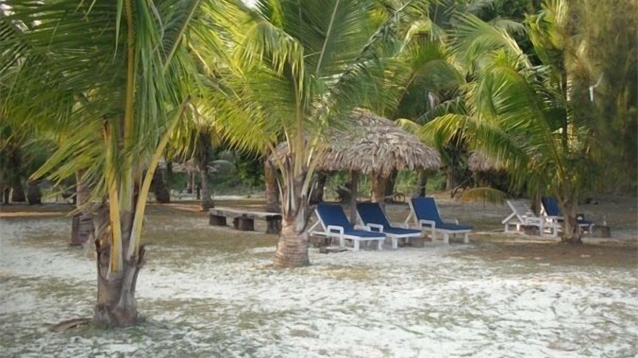 Photo of Outdoor in Neil Island