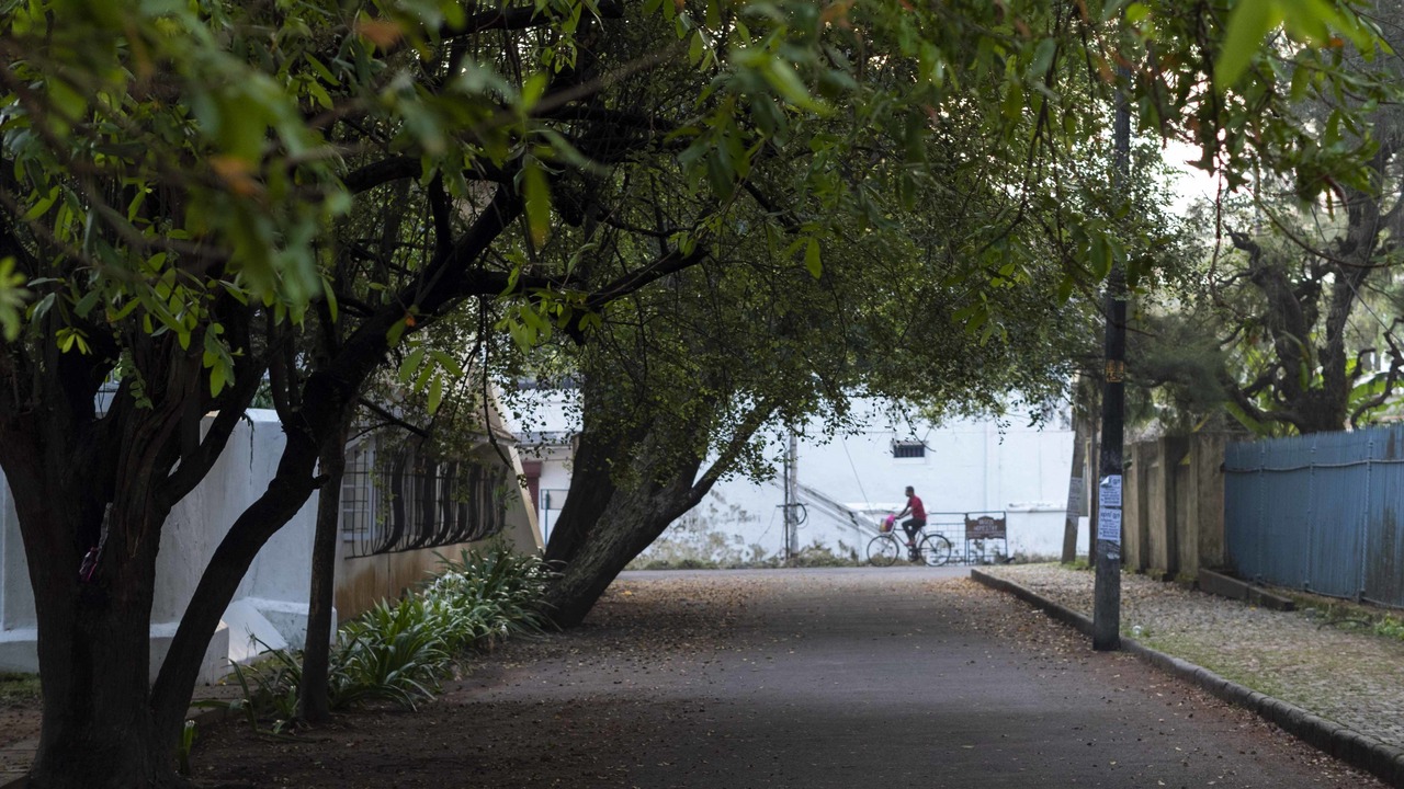 Photo of Outdoor in Fort Kochi