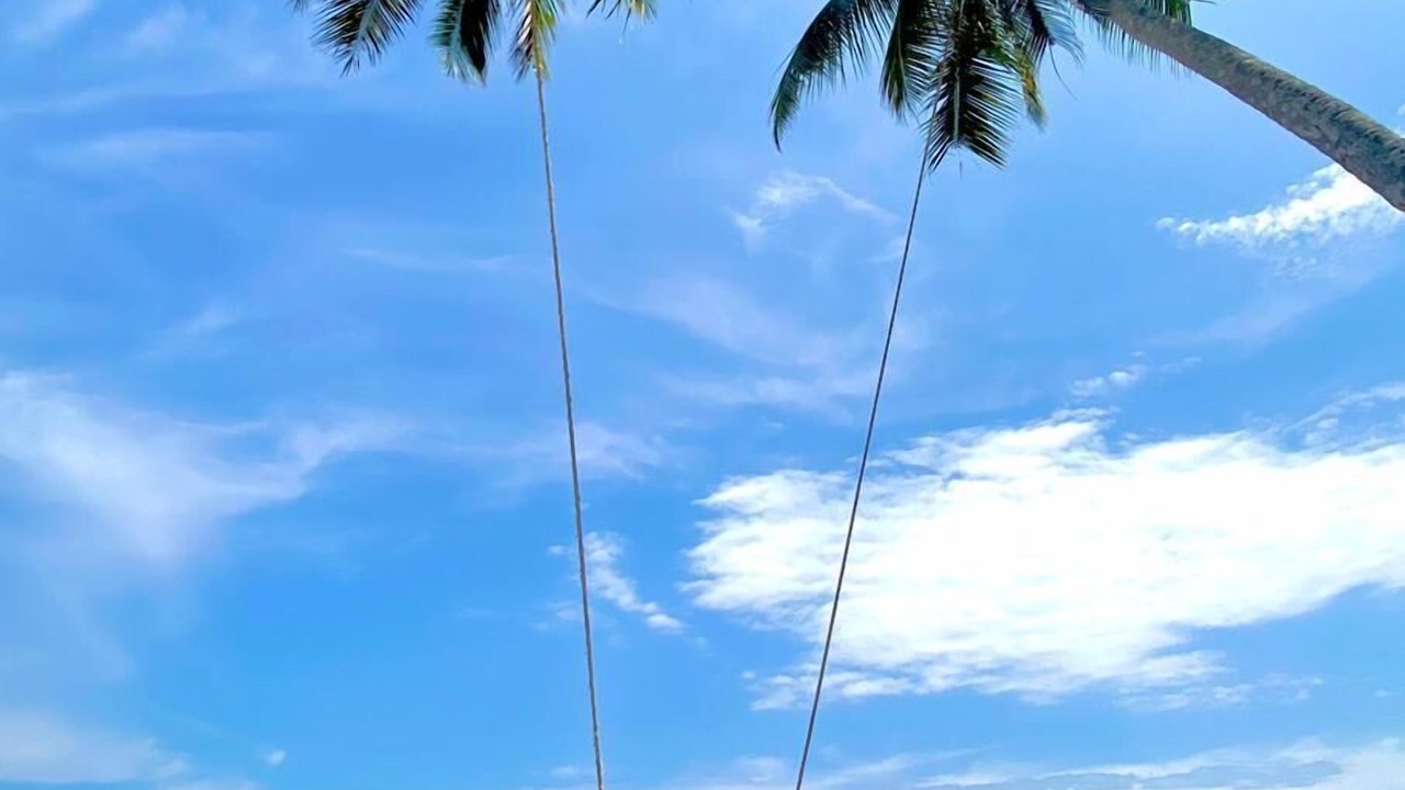 Photo of Others in Redang Island