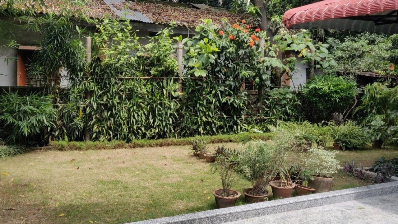 Photo of Outdoor in Sualkuchi