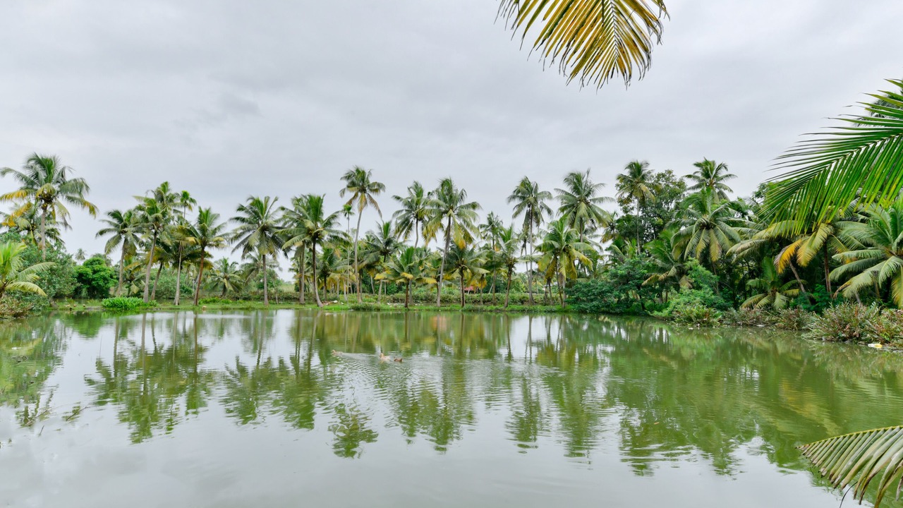 Photo of Outdoor in Kochi