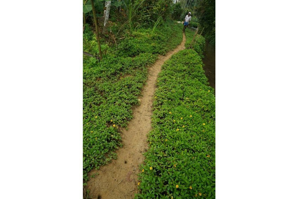 Photo of Outdoor in Civil Station