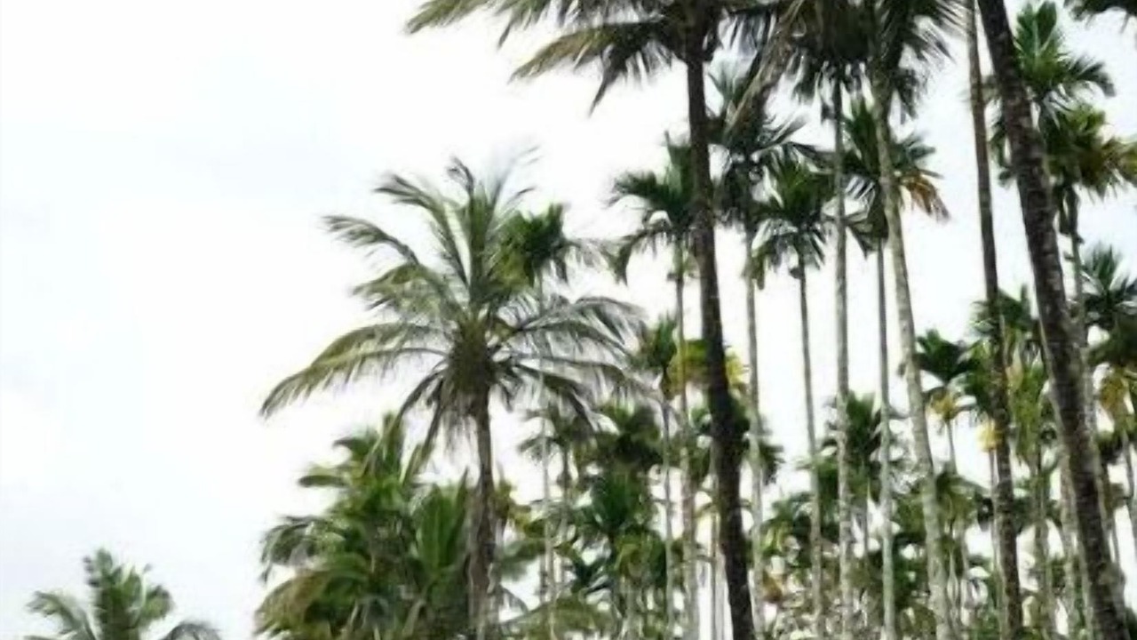 Photo of Outdoor in Civil Station