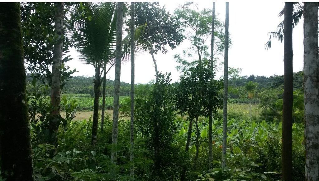 Photo of Outdoor in Civil Station