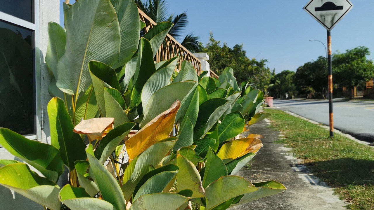 Photo of Outdoor in Bandar Sri Sendayan