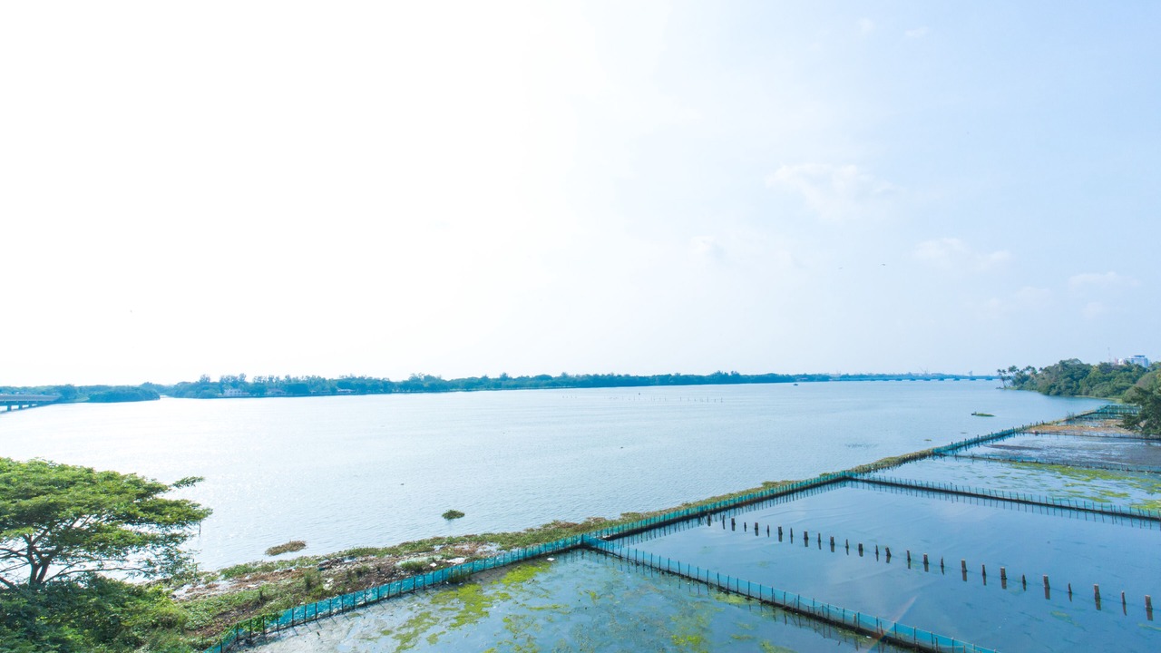 Photo of Others in Kochi