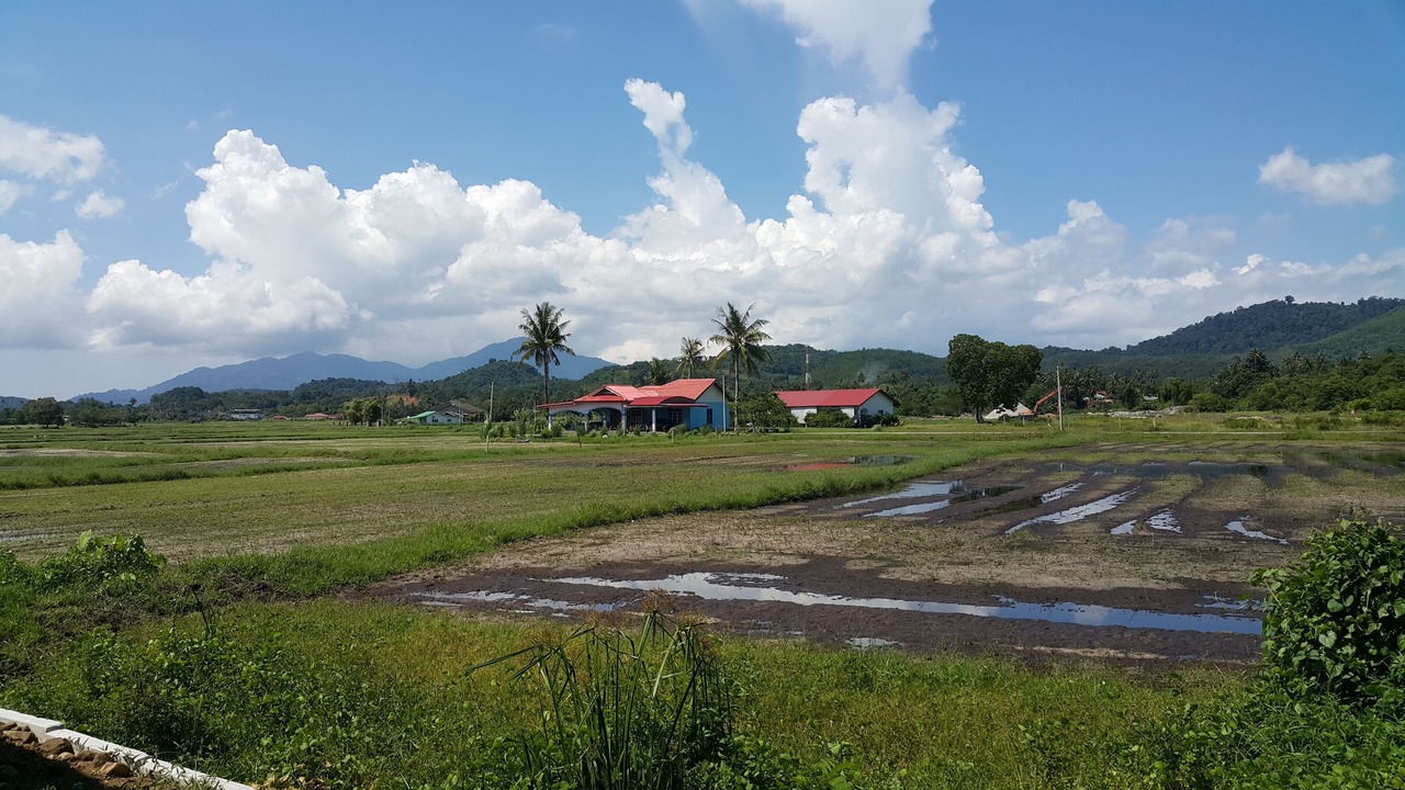Photo of Others in Kampung Kedawang