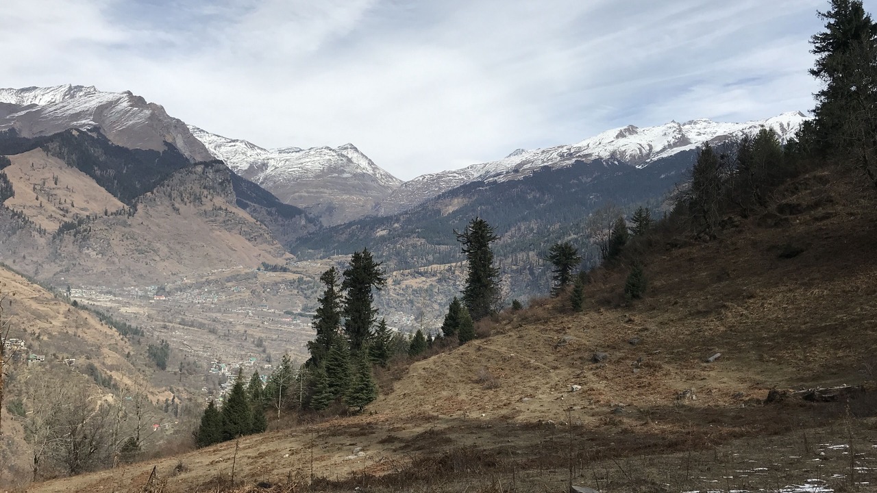 Photo of Others in Manali