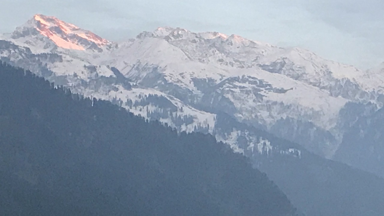 Photo of Others in Manali