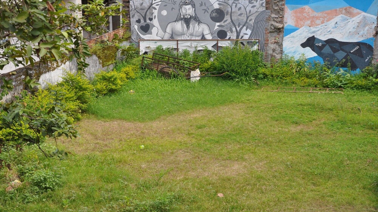 Photo of Outdoor in Rishikesh