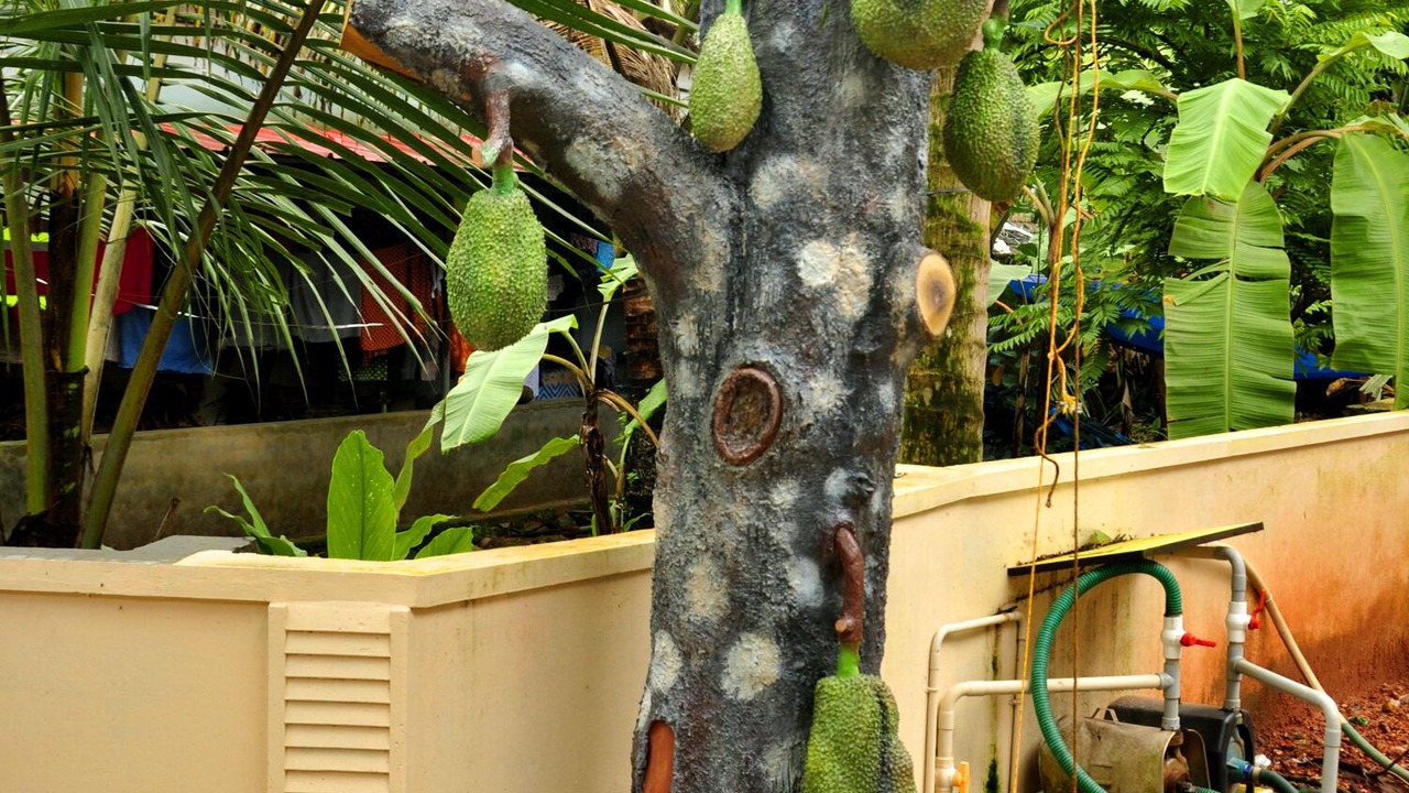 Photo of Outdoor in Alwaye