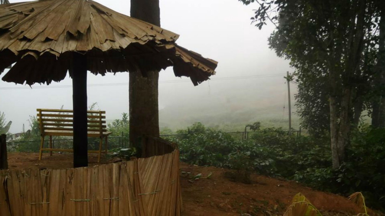 Photo of Outdoor in Kalpetta