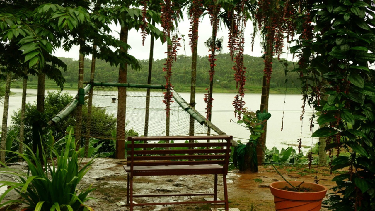 Photo of Outdoor in Kalpetta