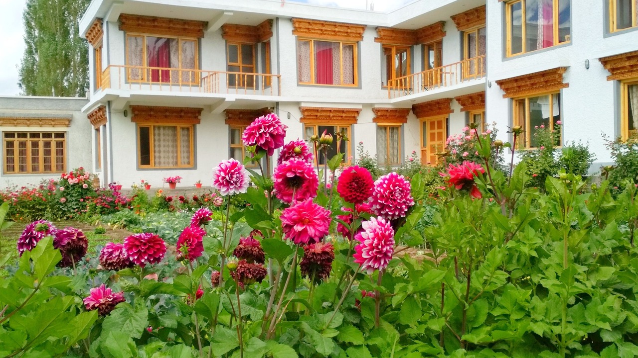 Photo of Outdoor in Leh