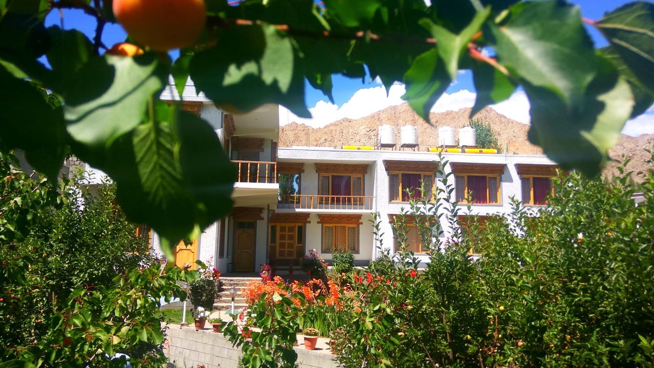 Photo of Others in Leh