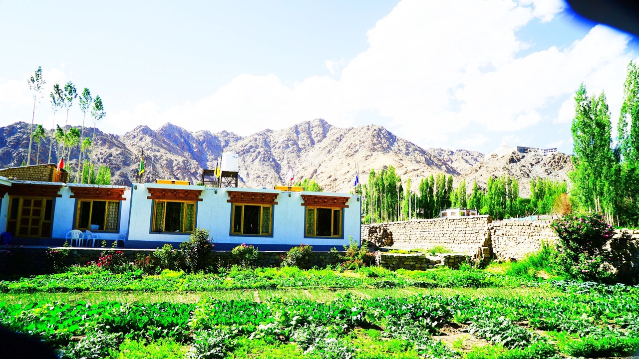 Photo of Others in Leh