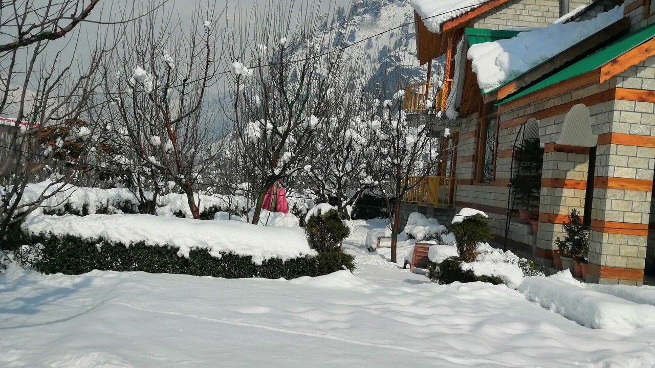 Photo of Outdoor in Manali