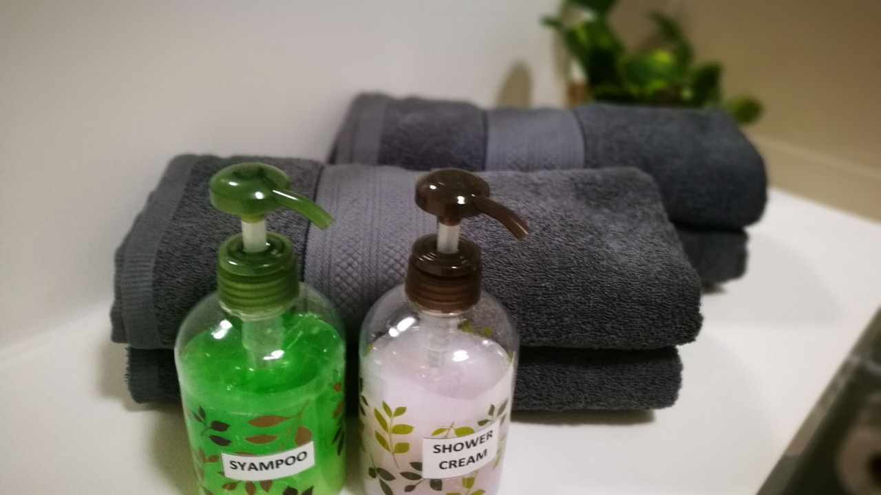 Photo of Bathroom in Belachan