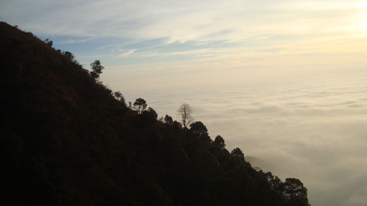 Photo of Others in Kasauli