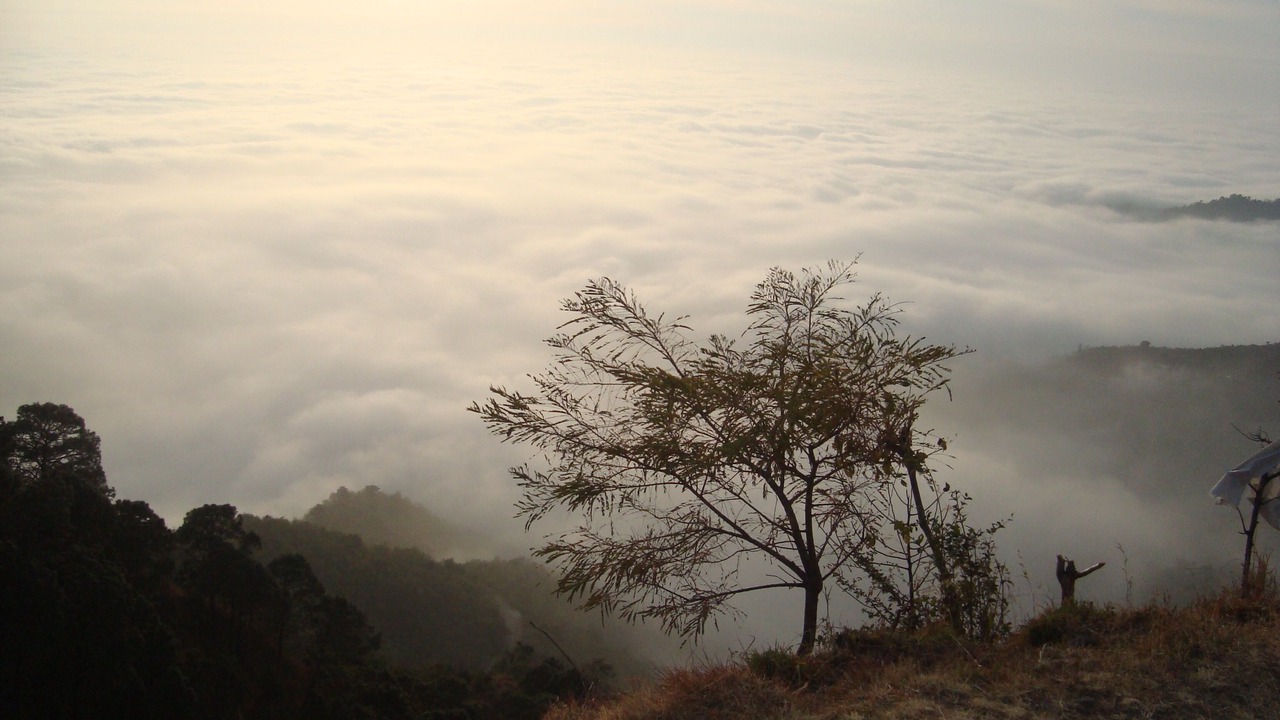 Photo of Others in Kasauli