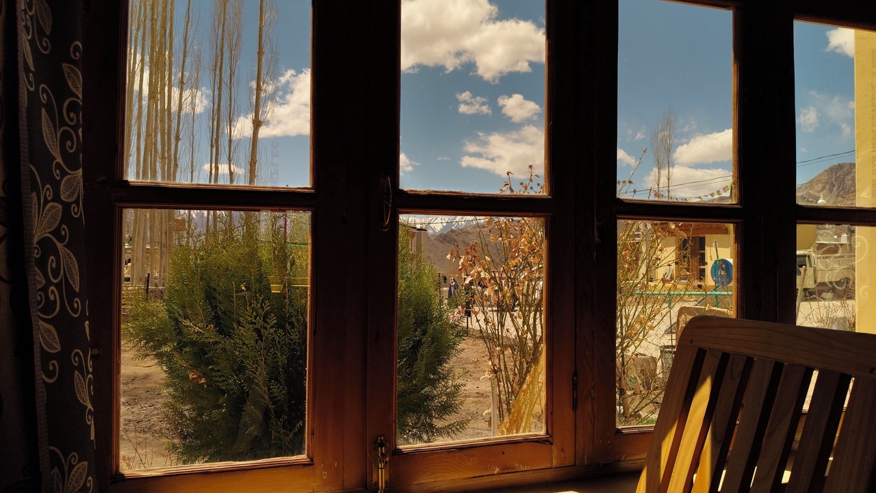 Photo of Others in Leh