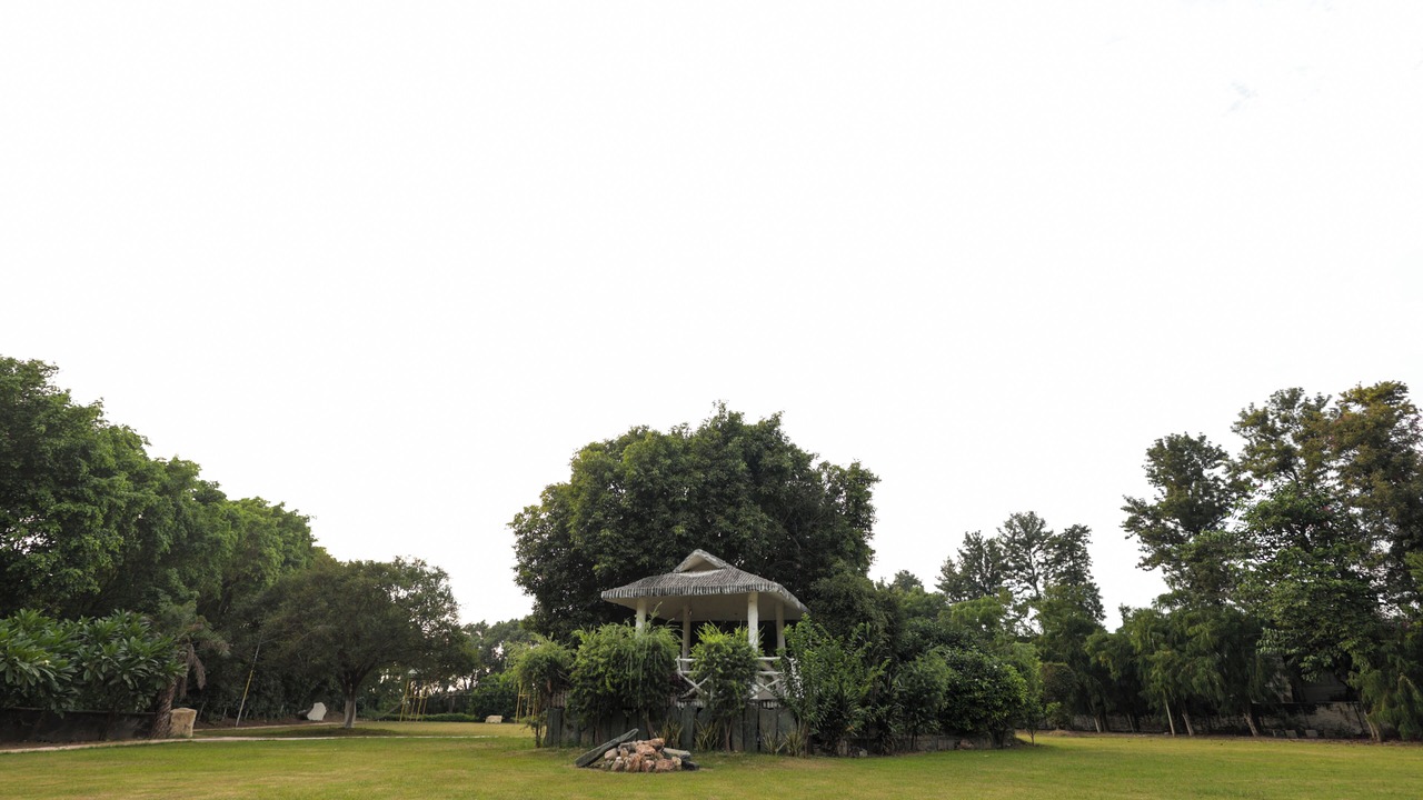 Photo of Outdoor in Delhi