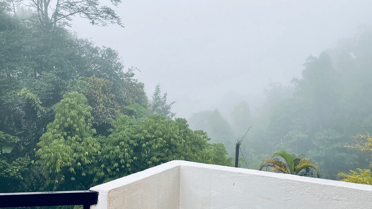 Photo of Outdoor in Bukit Fraser