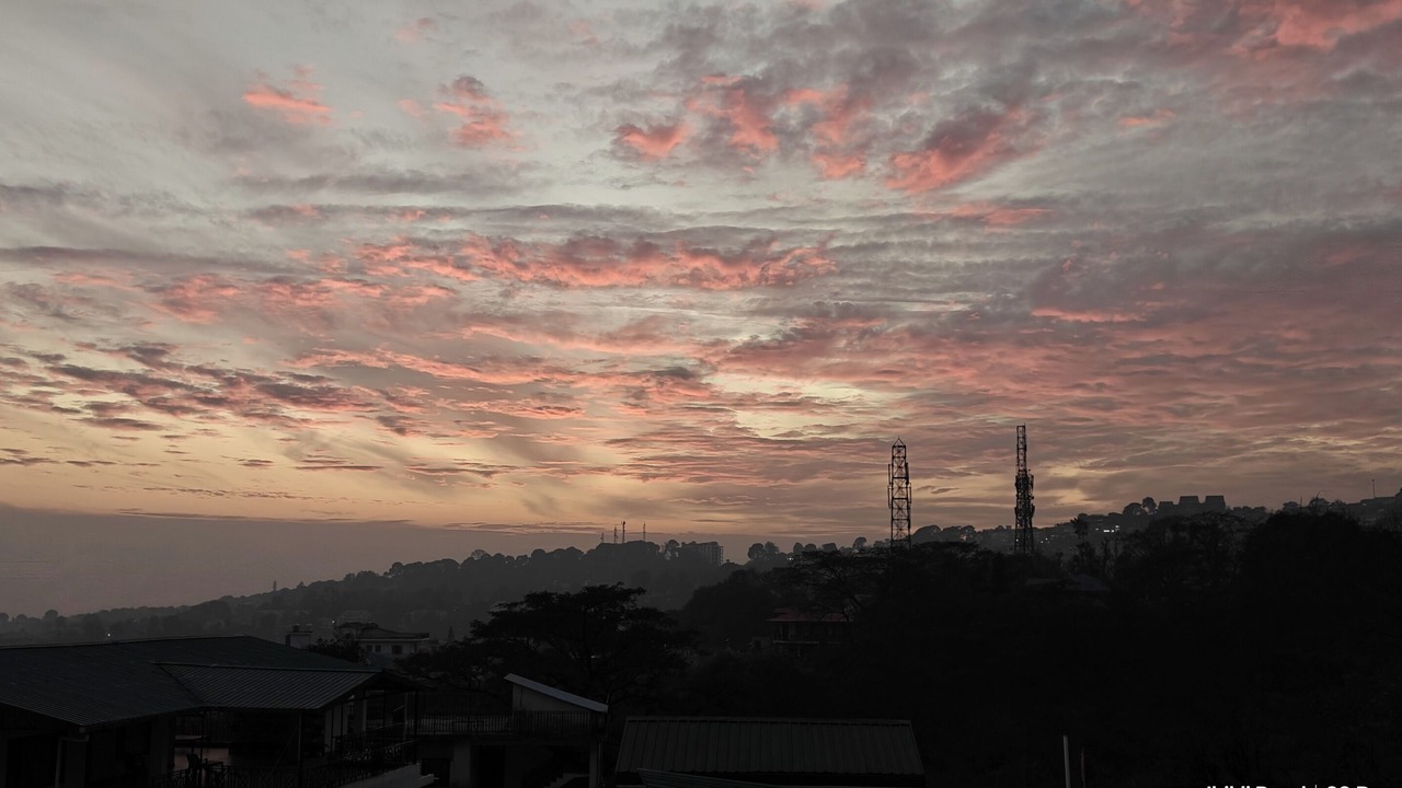 Photo of Others in Dharamshala