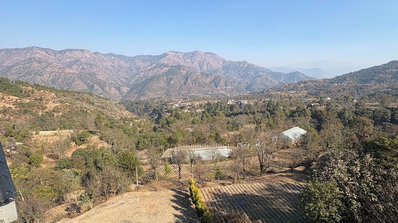 Photo of Others in Solan
