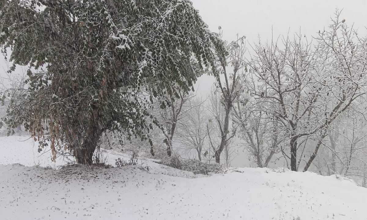 Photo of Outdoor in Chakrata