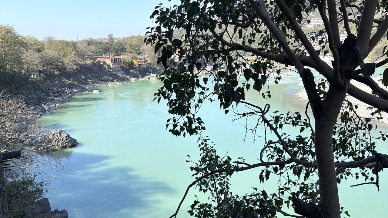 Photo of Others in Rishikesh