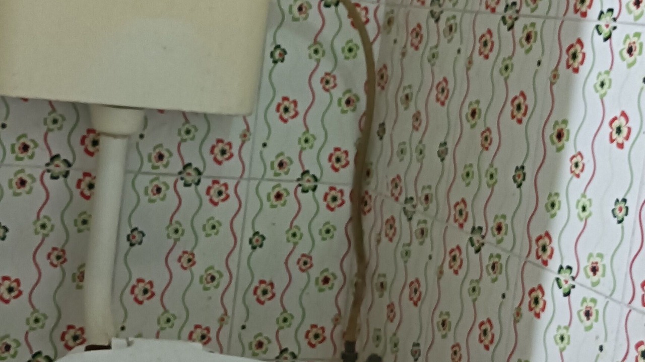 Photo of Bathroom in Bodh Gaya