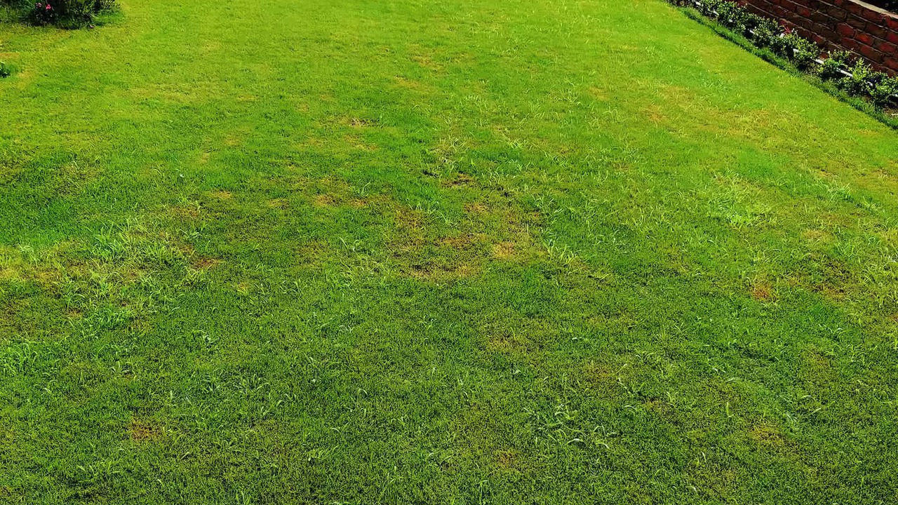Photo of Outdoor in Shimla