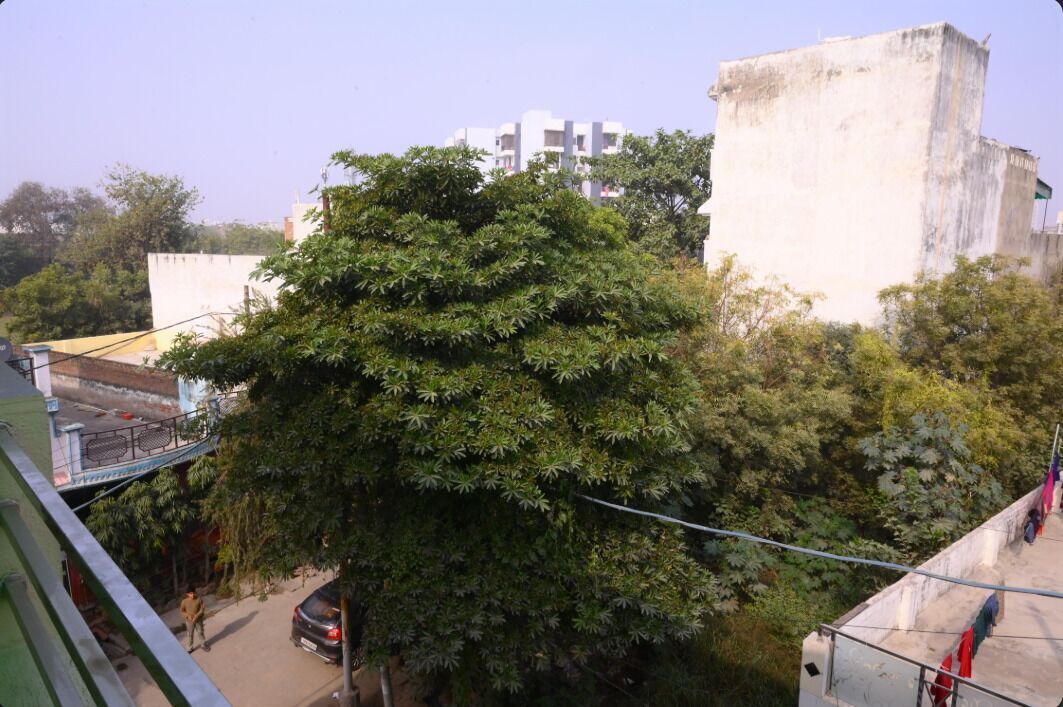 Photo of Outdoor in Basai