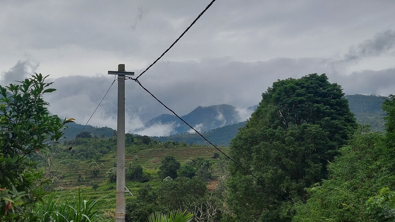 Photo of Others in Mannarkkad