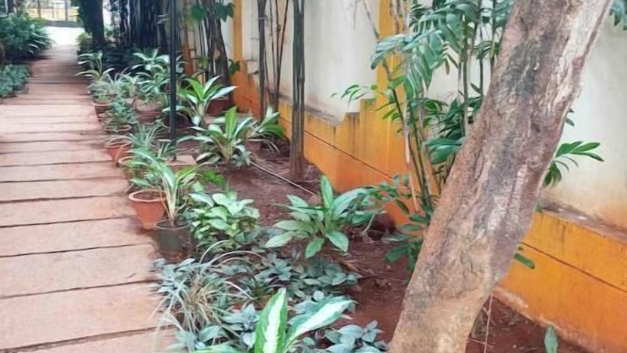 Photo of Outdoor in Bengaluru